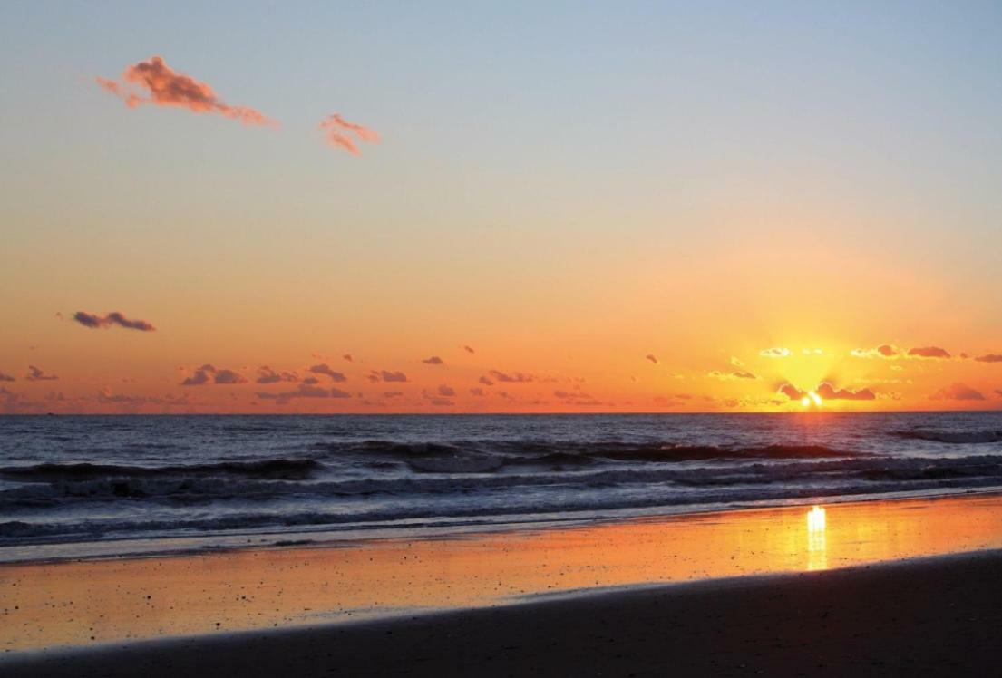Playa Ria Appartement